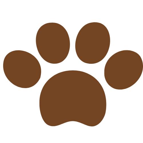 犬 猫 倉敷